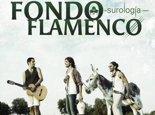 ff surologia 310